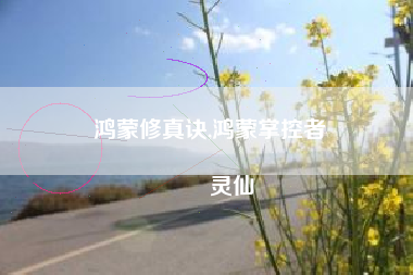 鸿蒙修真诀,鸿蒙掌控者
灵仙 鸿蒙修真诀,鸿蒙掌控者
灵仙