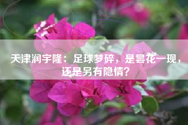 天津润宇隆：足球梦碎，是昙花一现，还是另有隐情？