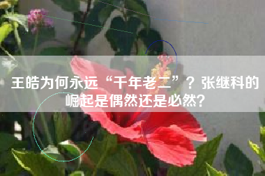 王皓为何永远“千年老二”？张继科的崛起是偶然还是必然？