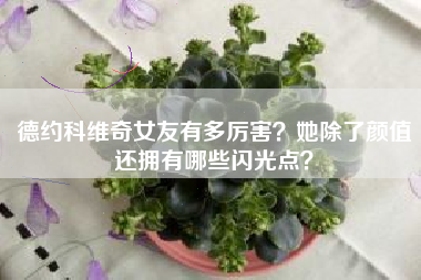 德约科维奇女友有多厉害？她除了颜值还拥有哪些闪光点？