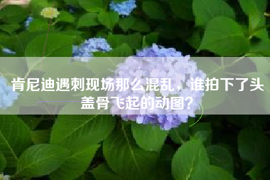 肯尼迪遇刺现场那么混乱，谁拍下了头盖骨飞起的动图？