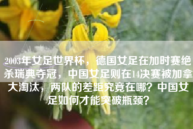 2003年女足世界杯，德国女足在加时赛绝杀瑞典夺冠，中国女足则在14决赛被加拿大淘汰，两队的差距究竟在哪？中国女足如何才能突破瓶颈？