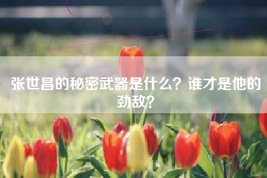 张世昌的秘密武器是什么？谁才是他的劲敌？