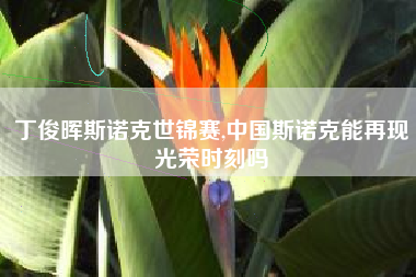 丁俊晖斯诺克世锦赛,中国斯诺克能再现光荣时刻吗