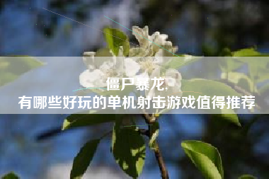 僵尸暴龙,
有哪些好玩的单机射击游戏值得推荐