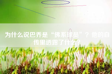 为什么说巴乔是“佛系球员”？他的自传里透露了什么？