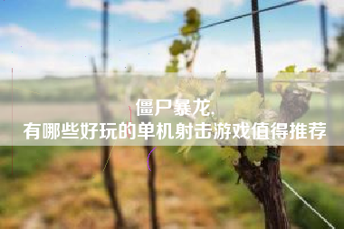 僵尸暴龙,
有哪些好玩的单机射击游戏值得推荐