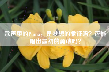 歌声里的Puma，是梦想的象征吗？还能唱出最初的勇敢吗？