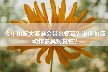 今年扣篮大赛谁会带来惊喜?谁的扣篮动作最具观赏性?