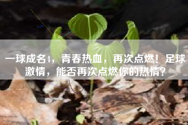一球成名4,青春热血,再次点燃!足球激情,能否再次点燃你的热情?