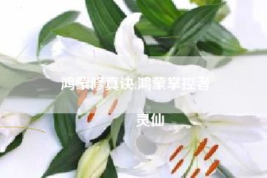 鸿蒙修真诀,鸿蒙掌控者
灵仙 鸿蒙修真诀,鸿蒙掌控者
灵仙