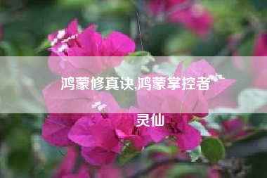 鸿蒙修真诀,鸿蒙掌控者
灵仙 鸿蒙修真诀,鸿蒙掌控者
灵仙