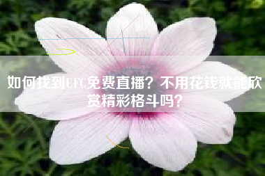 如何找到UFC免费直播？不用花钱就能欣赏精彩格斗吗？