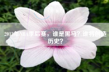 2013年NBA季后赛,谁是黑马?谁将创造历史?