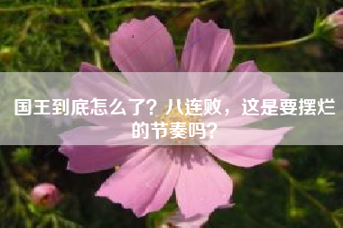 国王到底怎么了?八连败,这是要摆烂的节奏吗?