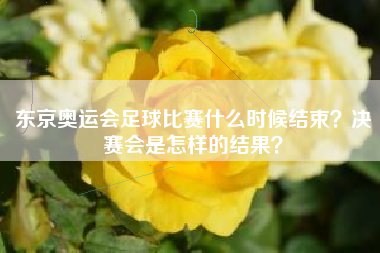 东京奥运会足球比赛什么时候结束?决赛会是怎样的结果?