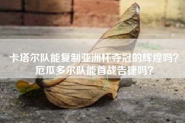卡塔尔队能复制亚洲杯夺冠的辉煌吗?厄瓜多尔队能首战告捷吗?