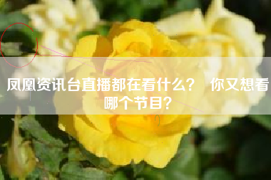 凤凰资讯台直播都在看什么？  你又想看哪个节目？