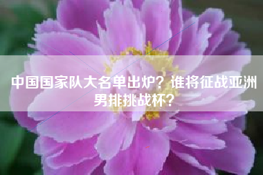 中国国家队大名单出炉?谁将征战亚洲男排挑战杯?