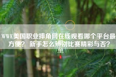 WWE美国职业摔角网在线观看哪个平台最方便? 新手怎么辨别比赛精彩与否?