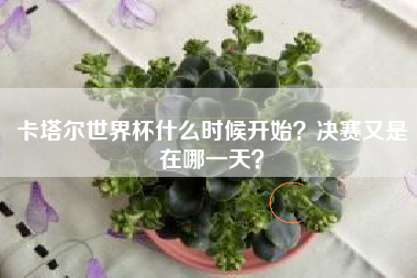 卡塔尔世界杯什么时候开始?决赛又是在哪一天?