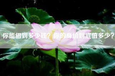 你能借到多少钱?你的身价到底值多少?