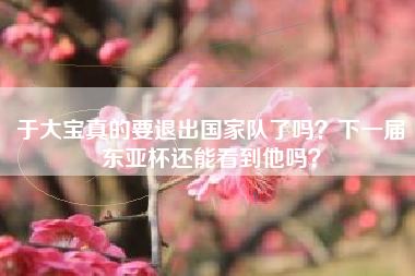 于大宝真的要退出国家队了吗?下一届东亚杯还能看到他吗?
