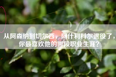 从阿森纳到切尔西,阿什利科尔退役了,你最喜欢他的哪段职业生涯?