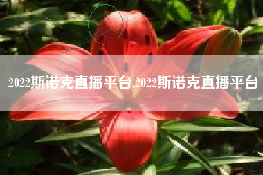 2022斯诺克直播平台,2022斯诺克直播平台