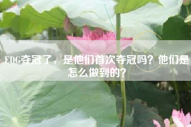 EDG夺冠了,是他们首次夺冠吗?他们是怎么做到的?