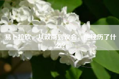 易卜拉欣,从政商到议会,他经历了什么?