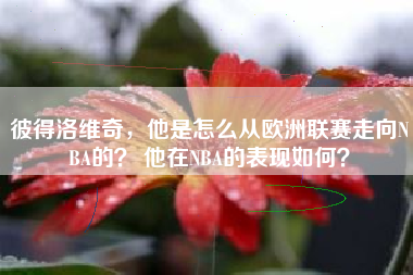 彼得洛维奇,他是怎么从欧洲联赛走向NBA的? 他在NBA的表现如何?